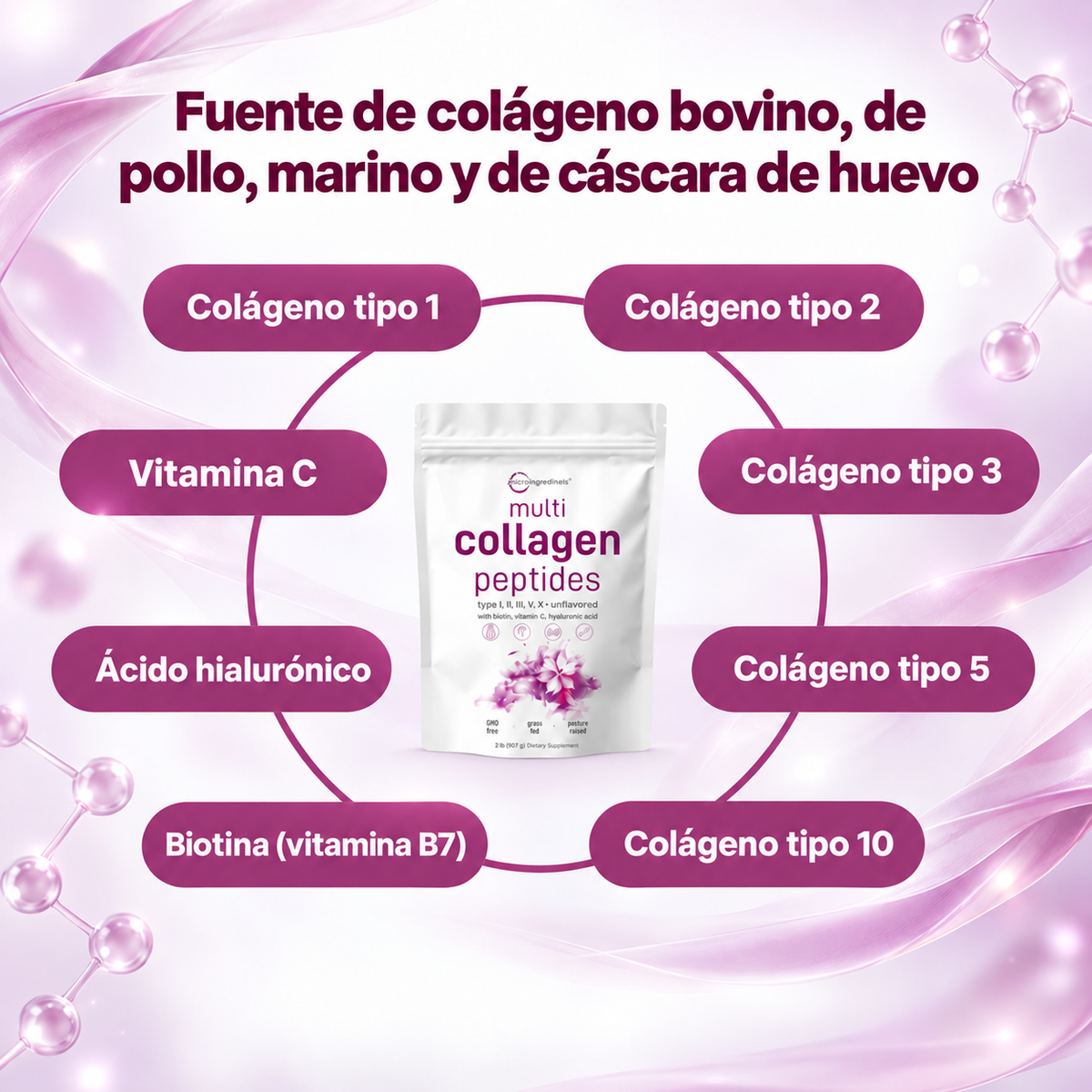 MULTICOLÁGENO EN POLVO PREMIUM – 5 Tipos de Colágeno con Biotina, Vitamina C y Ácido Hialurónico