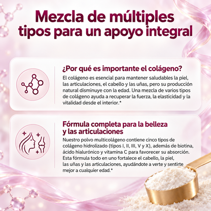 MULTICOLÁGENO EN POLVO PREMIUM – 5 Tipos de Colágeno con Biotina, Vitamina C y Ácido Hialurónico